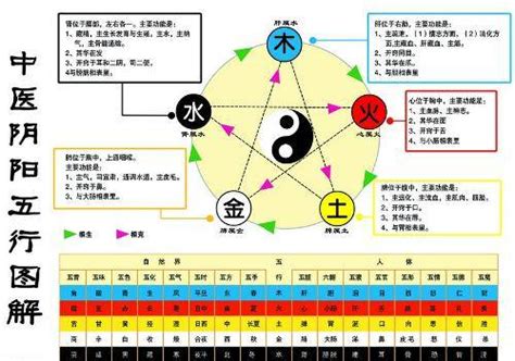 金 生 水|浅谈五行中的金生水、为什么金生水